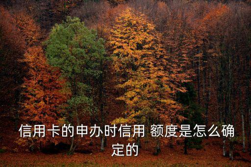  信用卡的申办时信用 额度是怎么确定的