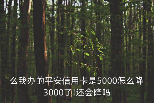 平安信用卡降低额度的原因,平安银行的信用卡为什么会被降?