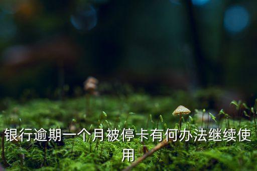 银行逾期一个月被停卡有何办法继续使用