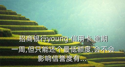  招商银行young 信用卡 逾期 一周,但只能还个最低额度,会不会影响信誉度有...