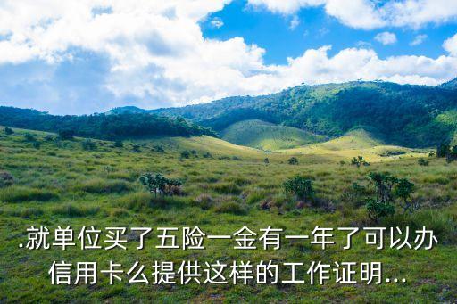 只有五险的能申请信用卡吗,可以办理信用卡五险吗?