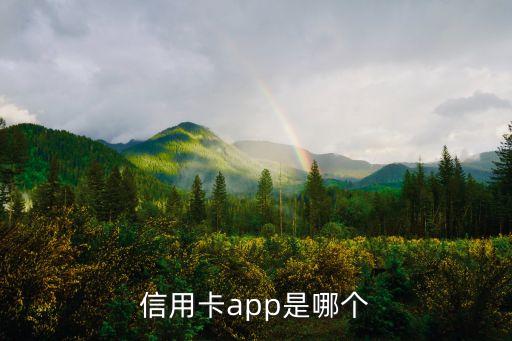 信用卡app是哪个