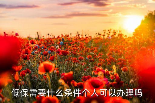 低保需要什么条件个人可以办理吗