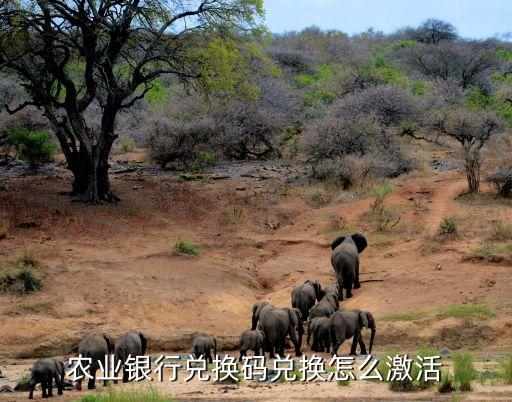 农业银行兑换码兑换怎么激活