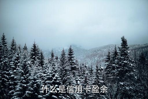 什么是信用卡盈余