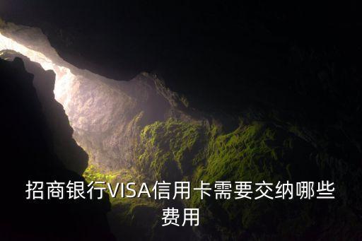 招商银行VISA信用卡需要交纳哪些费用