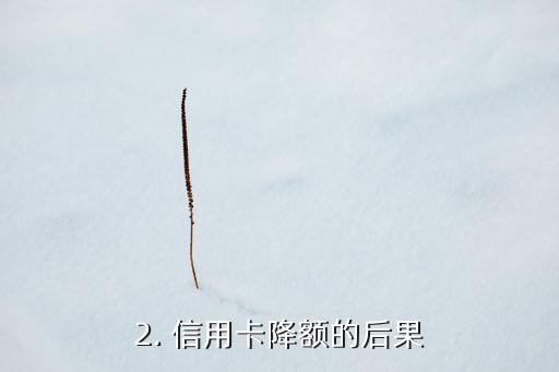 信用卡怎么防降额，信用卡降额预防指南