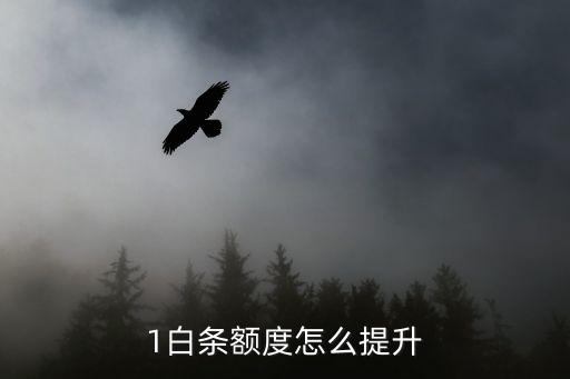 1白条额度怎么提升