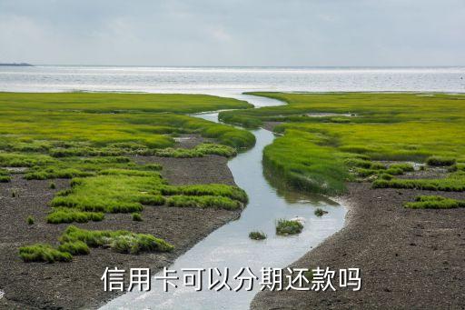 信用卡可以分期还款吗