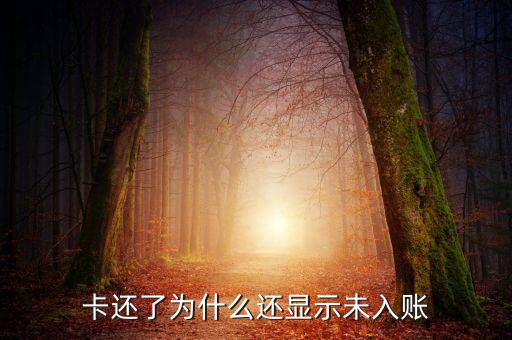 卡还了为什么还显示未入账