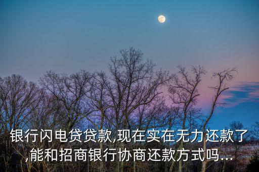 银行闪电贷贷款,现在实在无力还款了,能和招商银行协商还款方式吗...