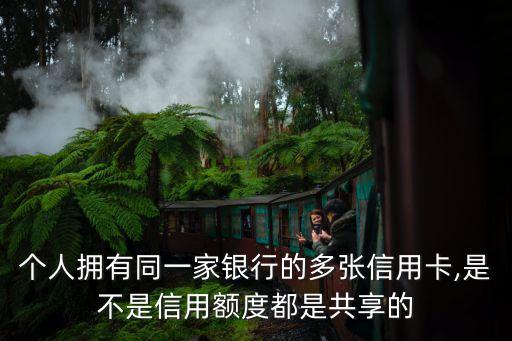 个人拥有同一家银行的多张信用卡,是不是信用额度都是共享的