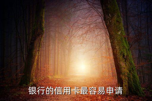 银行的信用卡最容易申请