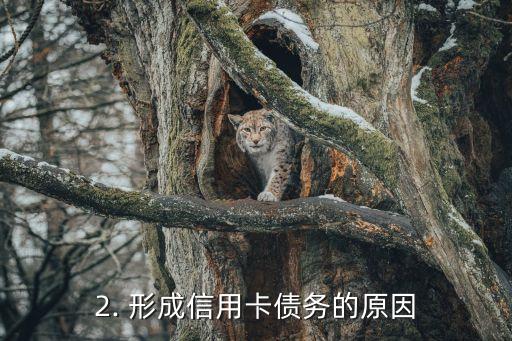 信用卡欠8万3，信用卡债务8万3的标题重写：欠款过重，催生财务危机