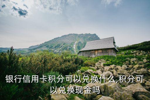 银行信用卡积分可以兑换什么,积分可以兑换现金吗