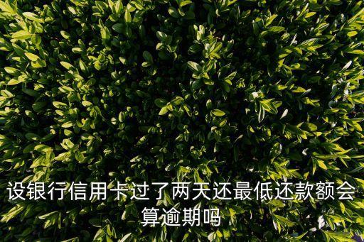建行信用卡不小心逾期2天,信用卡逾期一天怎么办?
