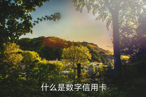 什么是数字信用卡