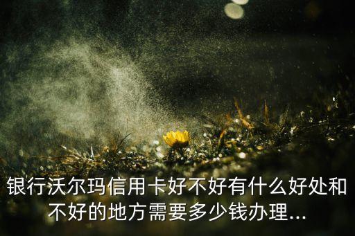 银行沃尔玛信用卡好不好有什么好处和不好的地方需要多少钱办理...