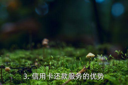 信用卡还款的商机，信用卡还款为何是一个有前途的商机？