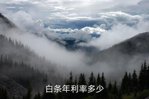 白条年利率多少