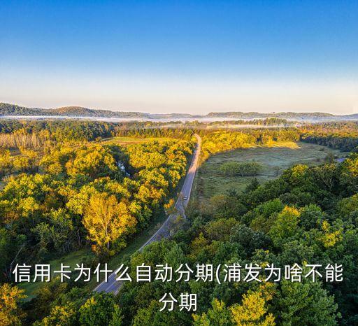 信用卡为什么自动分期(浦发为啥不能分期
