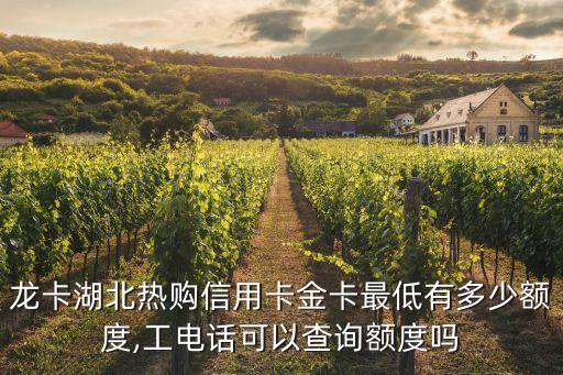 龙卡湖北热购信用卡金卡最低有多少额度,工电话可以查询额度吗