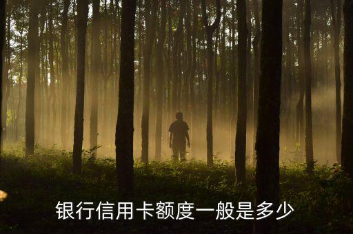 银行信用卡额度一般是多少