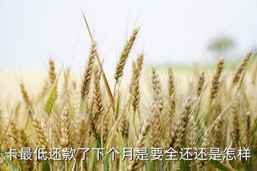 卡最低还款了下个月是要全还还是怎样