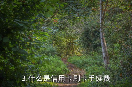 信用卡擦卡手续费，信用卡刷卡手续费问题的重新思考