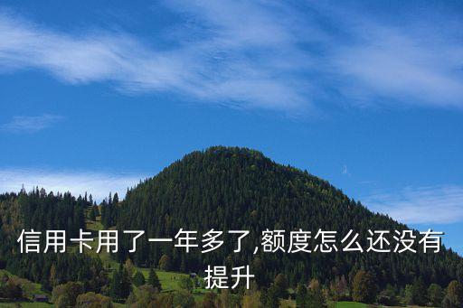 信用卡用了一年多了,额度怎么还没有提升