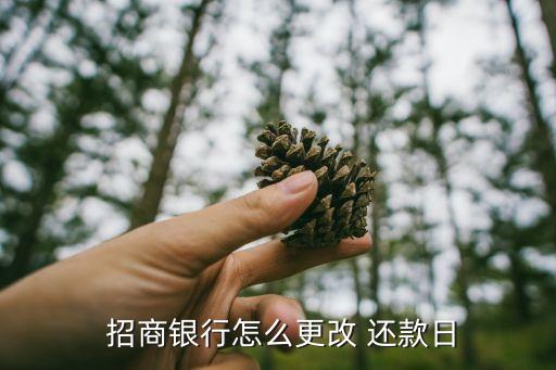  招商银行怎么更改 还款日