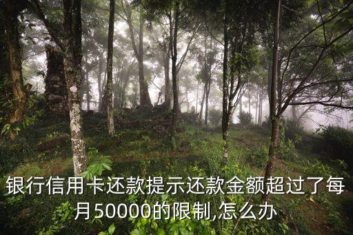 银行信用卡还款提示还款金额超过了每月50000的限制,怎么办