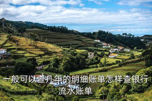 一般可以查几年的明细账单怎样查银行流水账单