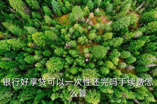 信用卡好享贷如何还款,如何用信用卡还网贷