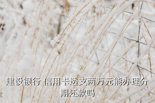 建设银行 信用卡透支两万元能办理分期还款吗