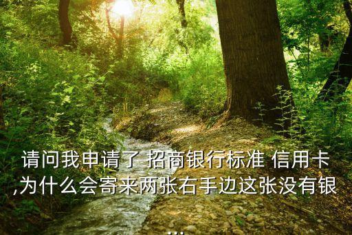 请问我申请了 招商银行标准 信用卡,为什么会寄来两张右手边这张没有银...