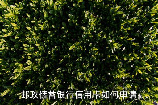 邮政储蓄银行信用卡如何申请