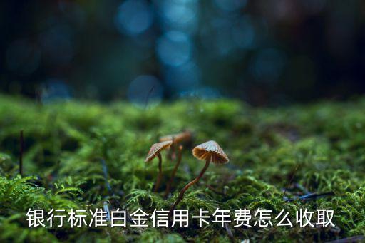 银行标准白金信用卡年费怎么收取