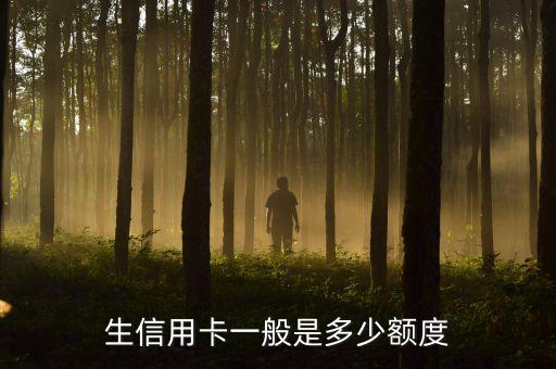 生信用卡一般是多少额度