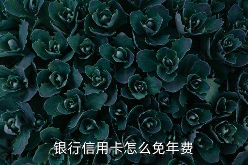 银行信用卡怎么免年费