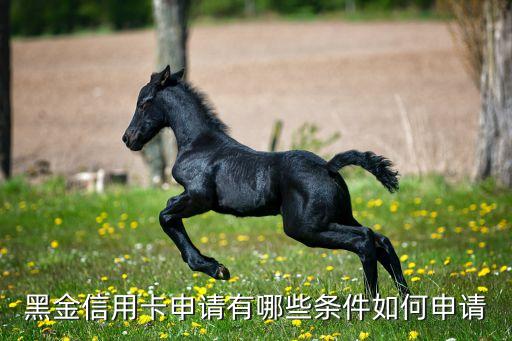 黑金信用卡申请有哪些条件如何申请