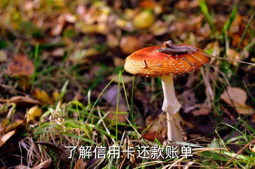 了解信用卡还款账单