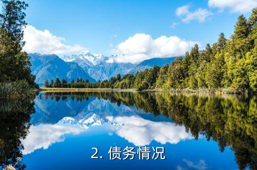 信用卡欠款2万5，信用卡欠款2万5新标题：卡债高达2万5