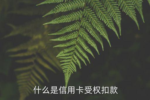什么是信用卡受权扣款