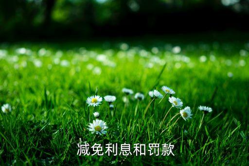 减免利息和罚款