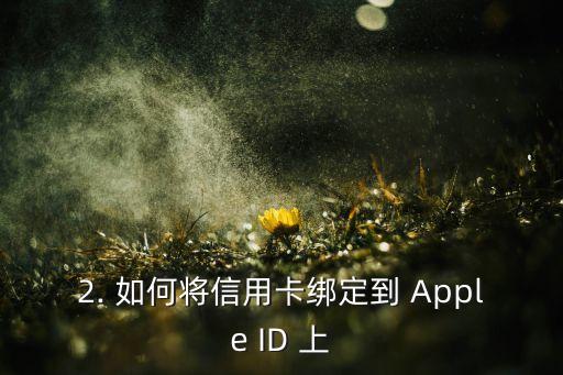 信用卡绑定苹果，苹果支持信用卡绑定