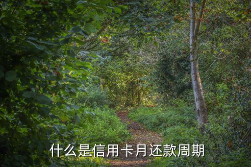 什么是信用卡月还款周期