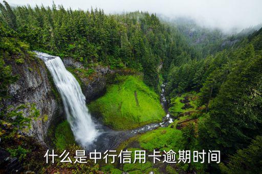 什么是中行信用卡逾期时间