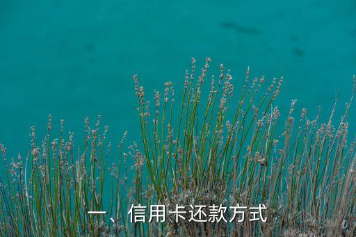 一、信用卡还款方式