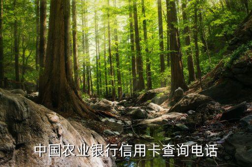 中国农业银行信用卡查询电话